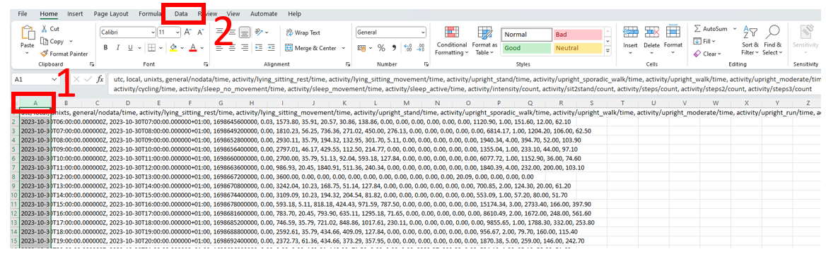 Excel - Data tab